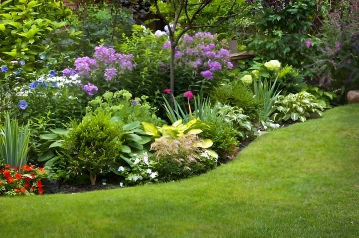 Entretien jardin La Réunion